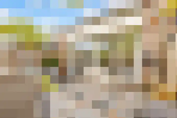 Buurschappenlaan 216 's-Hertogenbosch thumbnail 19