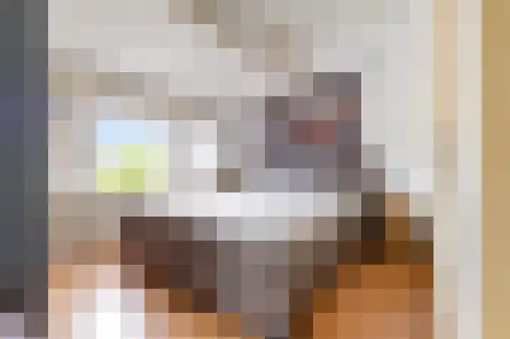 Buurschappenlaan 216 's-Hertogenbosch thumbnail 23