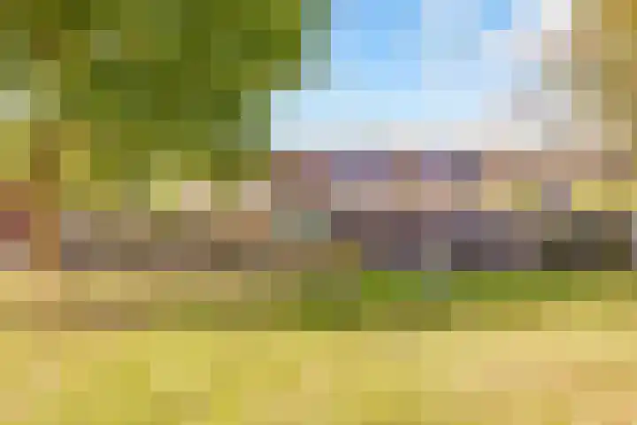 Buurschappenlaan 216 's-Hertogenbosch thumbnail 31