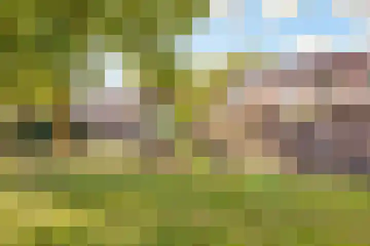 Buurschappenlaan 216 's-Hertogenbosch thumbnail 33