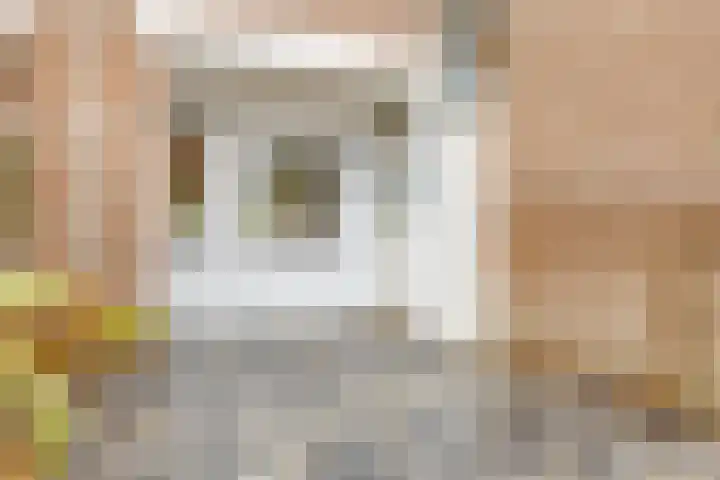 Buurschappenlaan 216 's-Hertogenbosch thumbnail 35