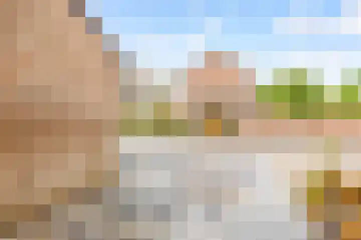 Buurschappenlaan 216 's-Hertogenbosch thumbnail 36