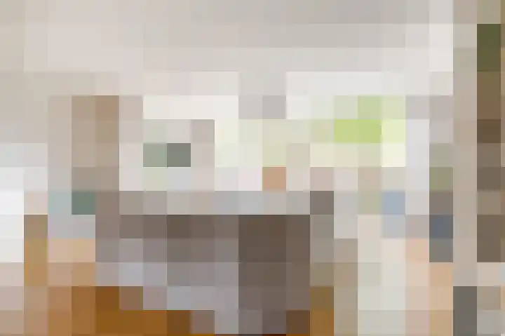 Buurschappenlaan 216 's-Hertogenbosch thumbnail 8