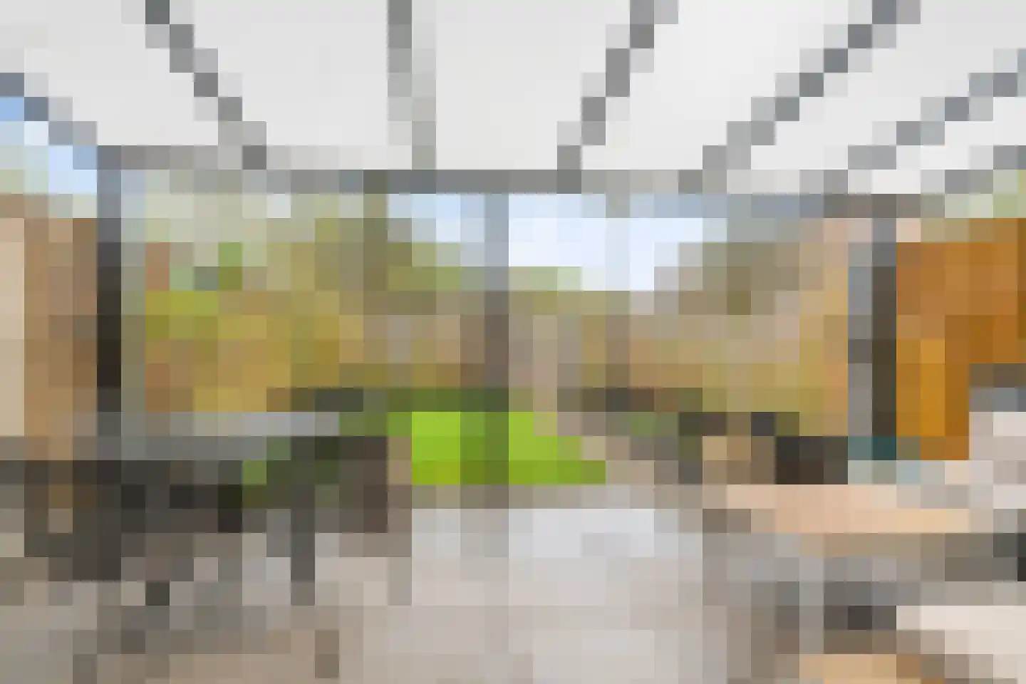 Buurschappenlaan 218 's-Hertogenbosch thumbnail 14