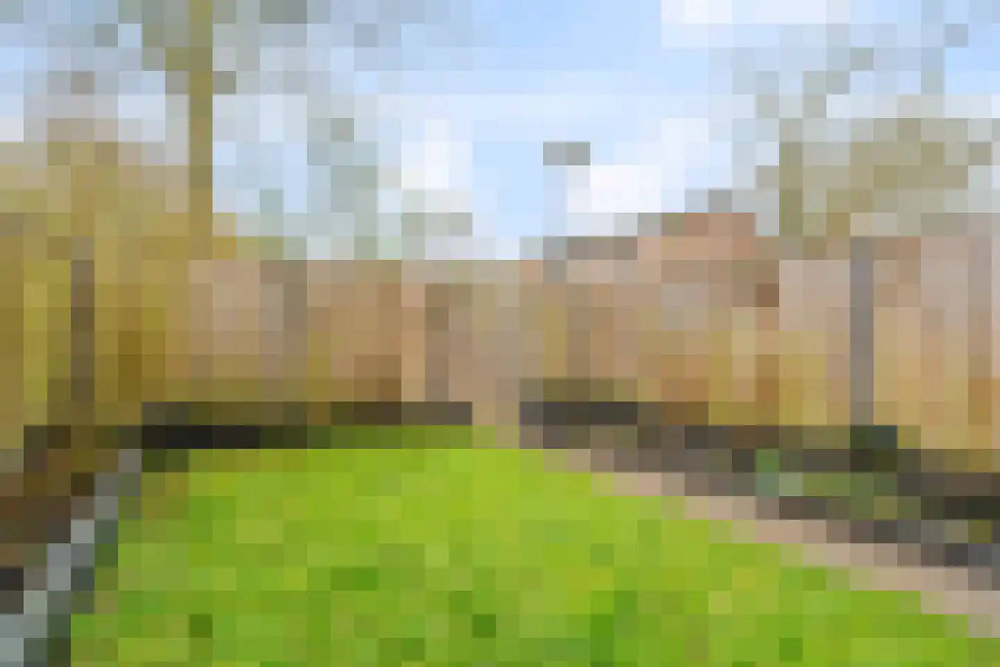 Buurschappenlaan 218 's-Hertogenbosch thumbnail 15
