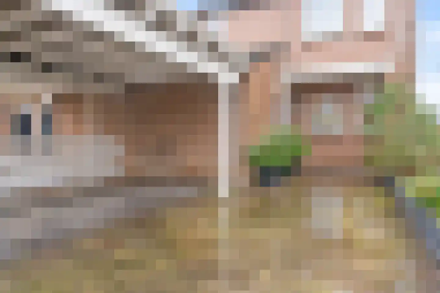 Buurschappenlaan 218 's-Hertogenbosch thumbnail 34
