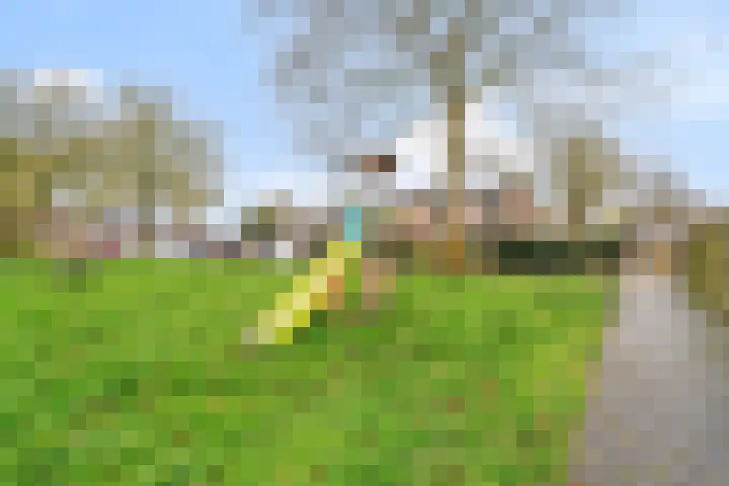 Buurschappenlaan 218 's-Hertogenbosch thumbnail 37