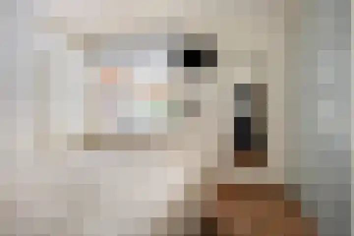 Buurschappenlaan 244 's-Hertogenbosch thumbnail 18