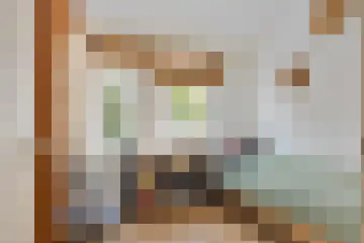 Buurschappenlaan 244 's-Hertogenbosch thumbnail 19