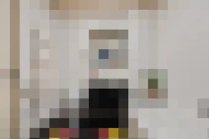 Buurschappenlaan 244 's-Hertogenbosch thumbnail 5