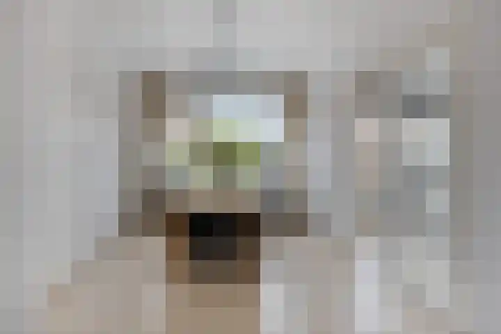 Buursebrink 4 Enschede thumbnail 10