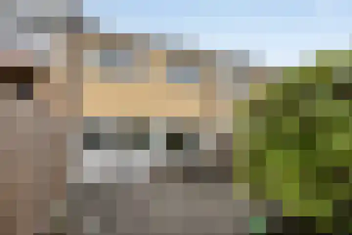 Buursebrink 4 Enschede thumbnail 29