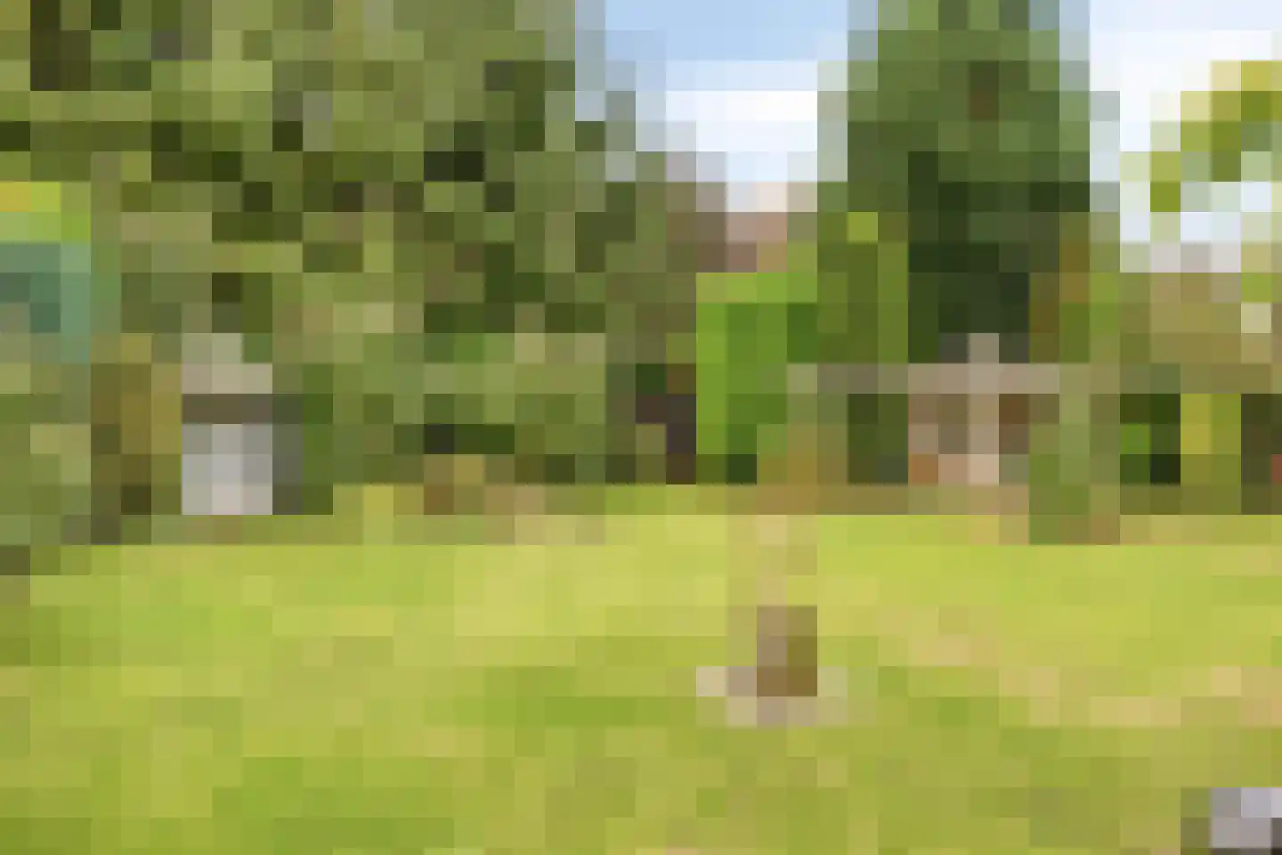 Buurserstraat 46 Haaksbergen thumbnail 7