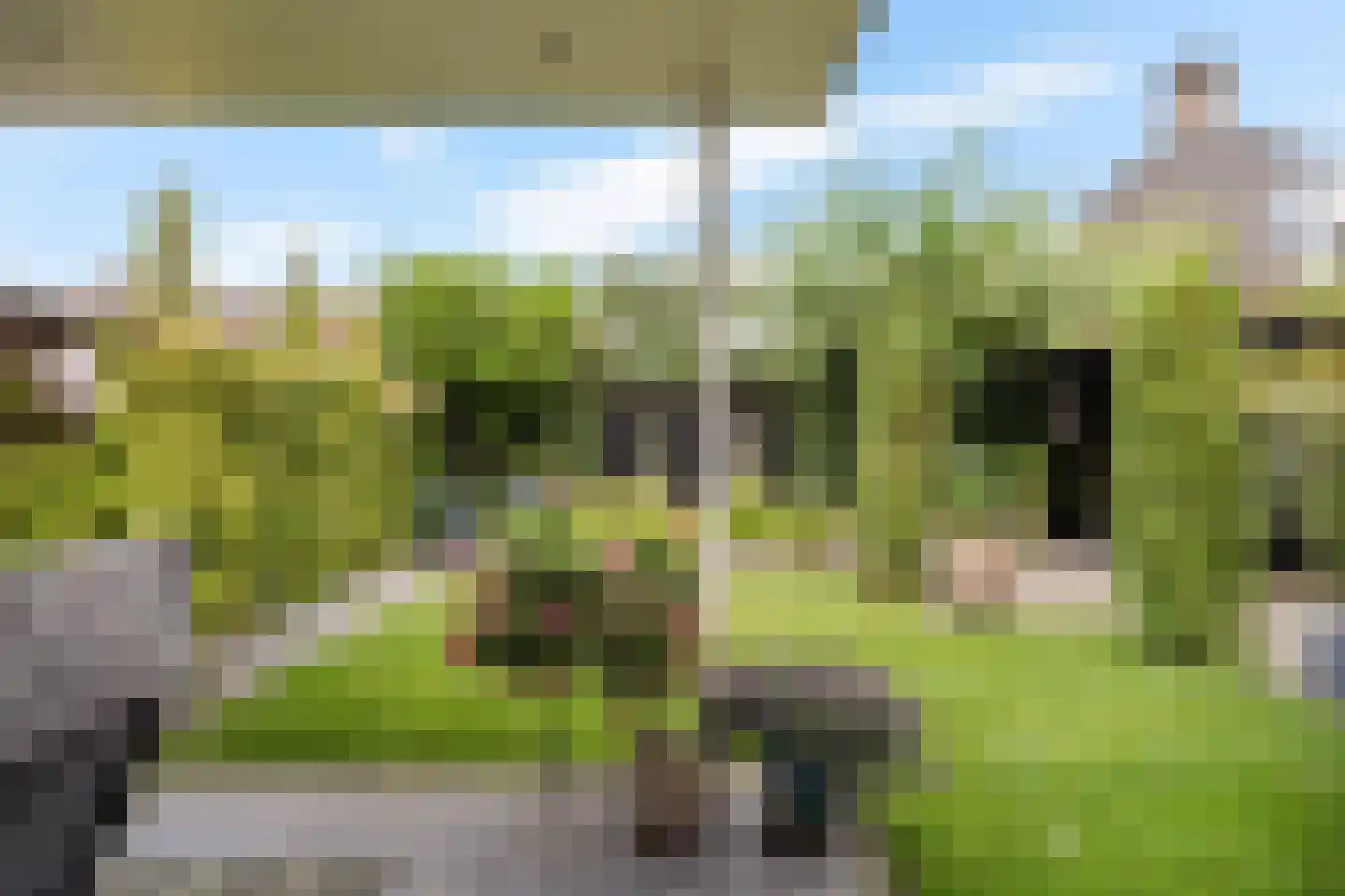 Buurserstraat 89 Haaksbergen thumbnail 39