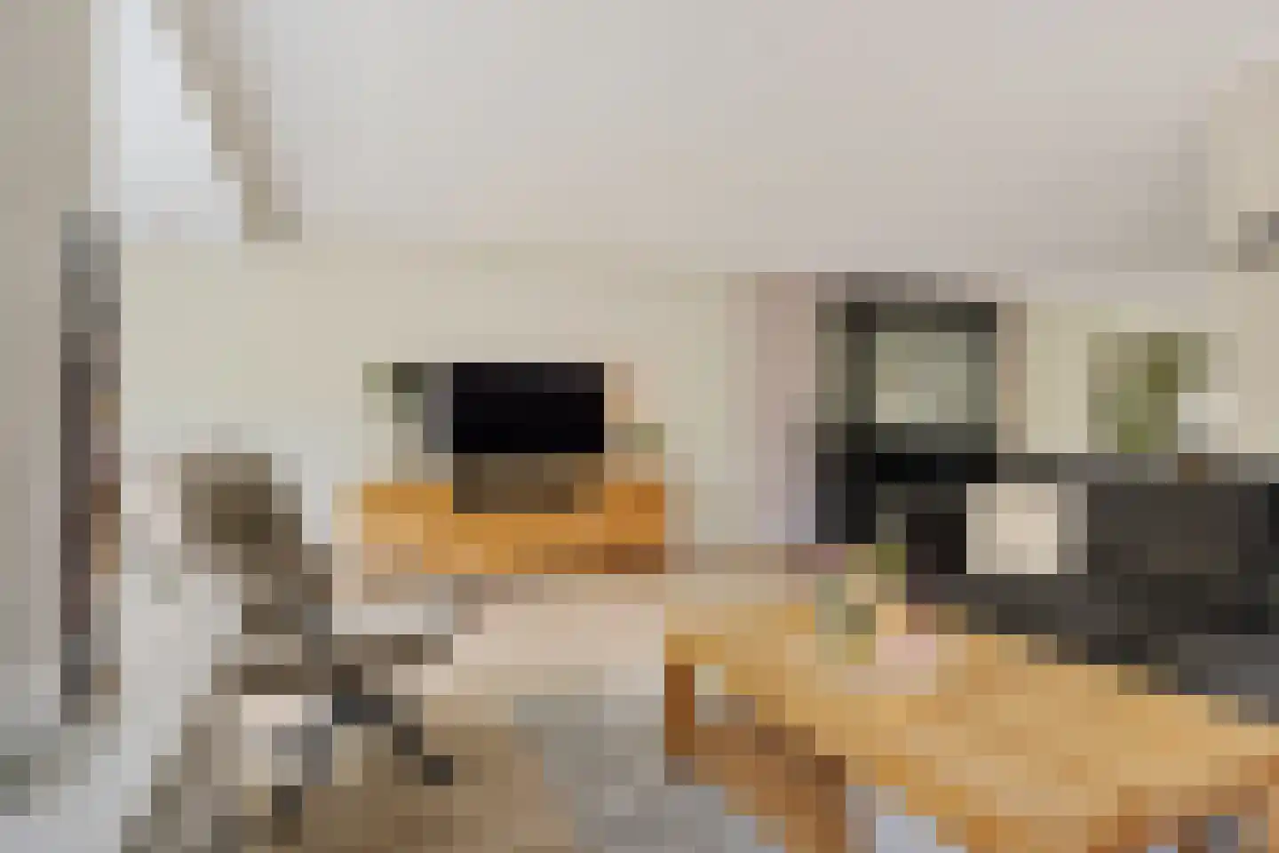 Buurserstraat 89 Haaksbergen thumbnail 9