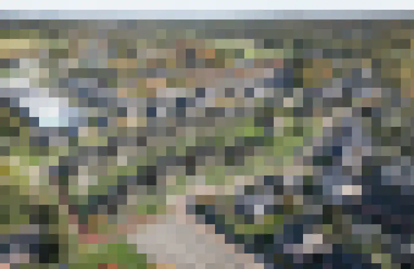 Buurskamp 13 Wezep thumbnail 6