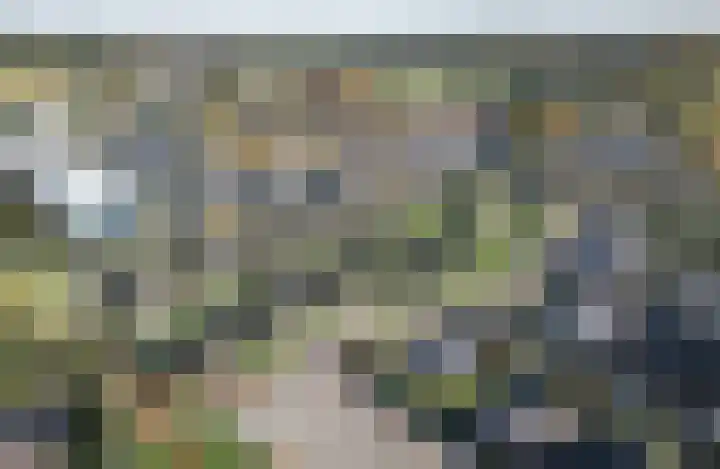 Buurskamp 13 Wezep thumbnail 6