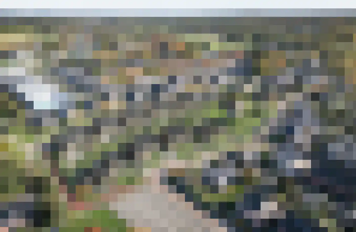 Buurskamp 5 Wezep thumbnail 6