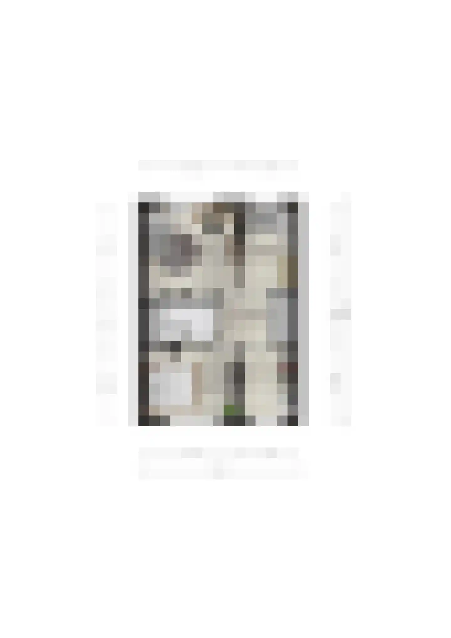 Buurstede 142 Oosterhout thumbnail 51