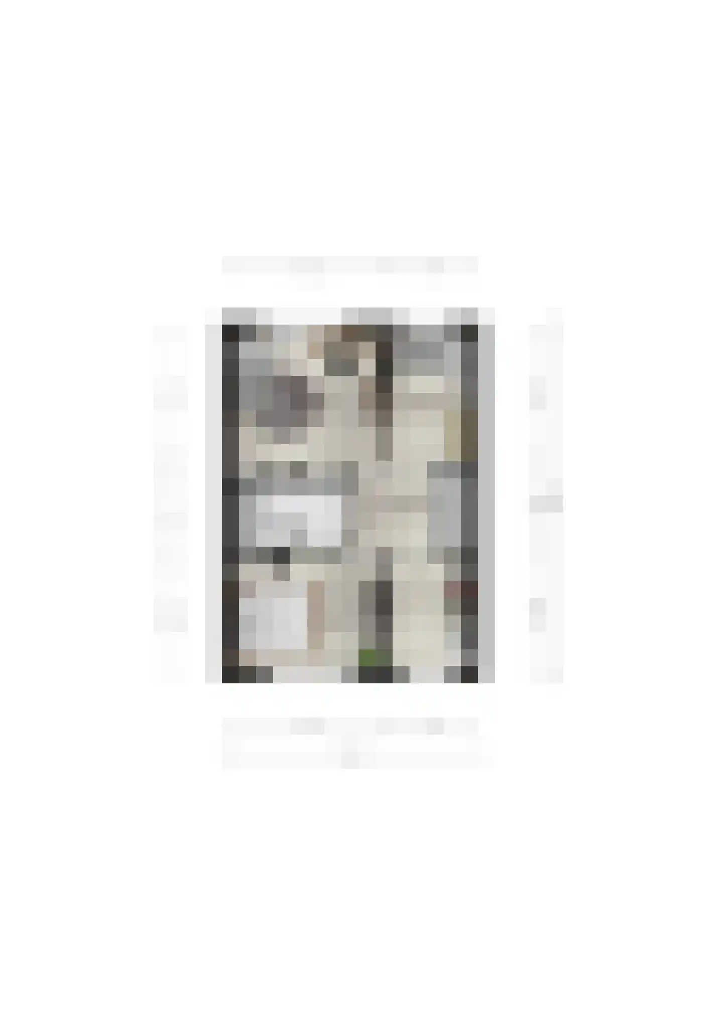 Buurstede 142 Oosterhout thumbnail 53