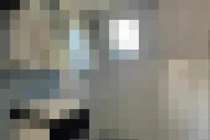 Buurt I 20 Marken thumbnail 19