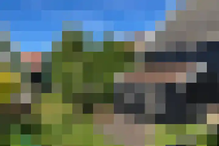 Buurt I 20 Marken thumbnail 23