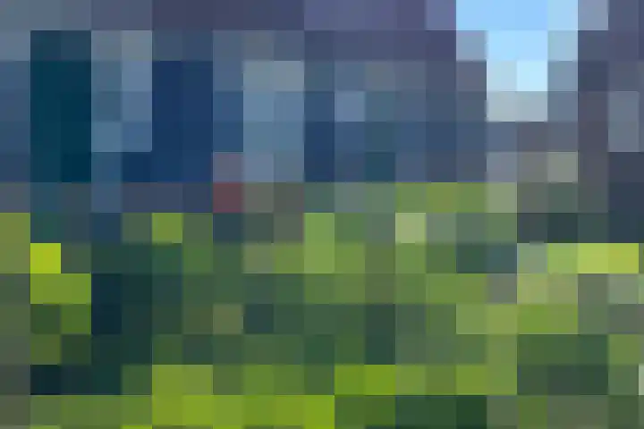 Buurt I 20 Marken thumbnail 25