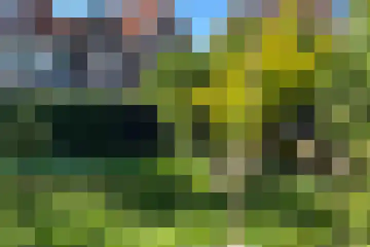 Buurt I 20 Marken thumbnail 26