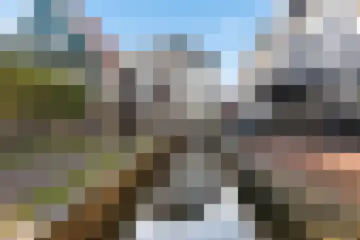 Buurt IV 21 Marken thumbnail 12