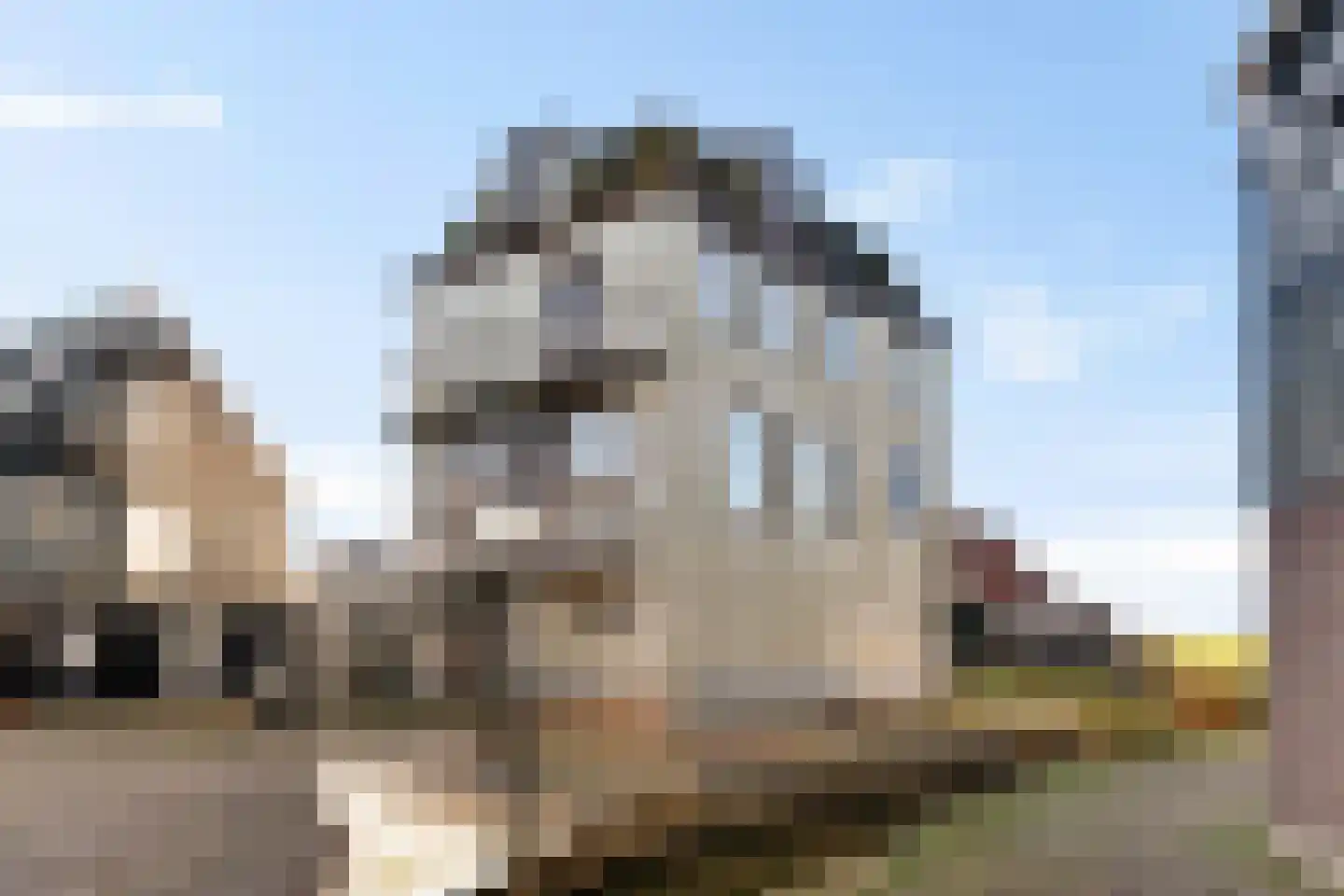 Buurt IV 21 Marken thumbnail 23