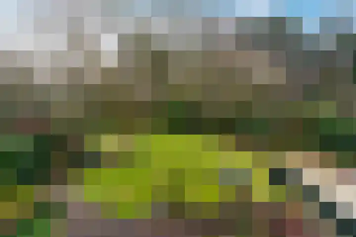 Buurtboslaan 14 Otterlo thumbnail 21
