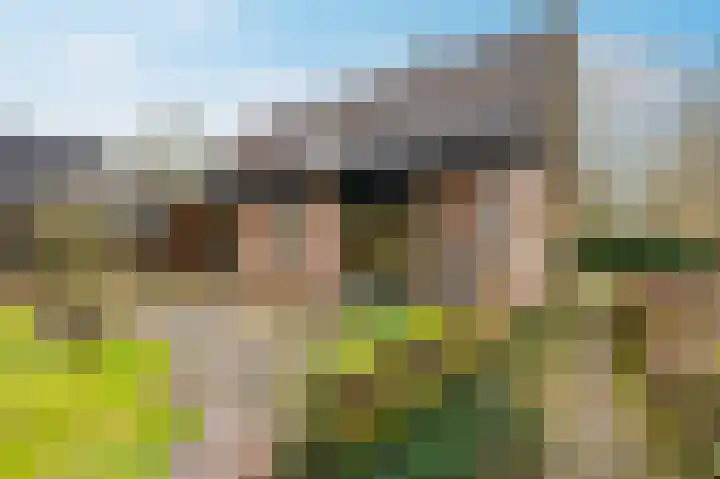 Buurtboslaan 14 Otterlo thumbnail 24