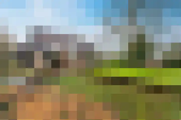 Buurtboslaan 14 Otterlo thumbnail 25