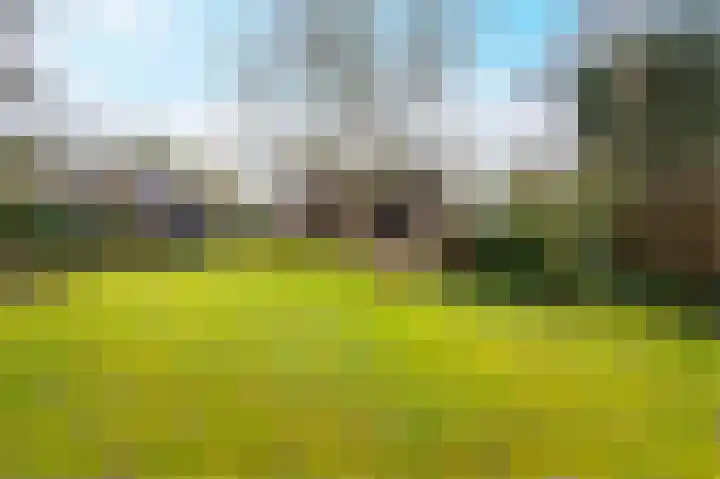 Buurtboslaan 14 Otterlo thumbnail 26