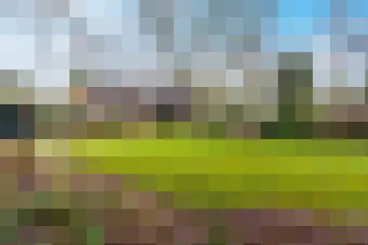 Buurtboslaan 14 Otterlo thumbnail 27