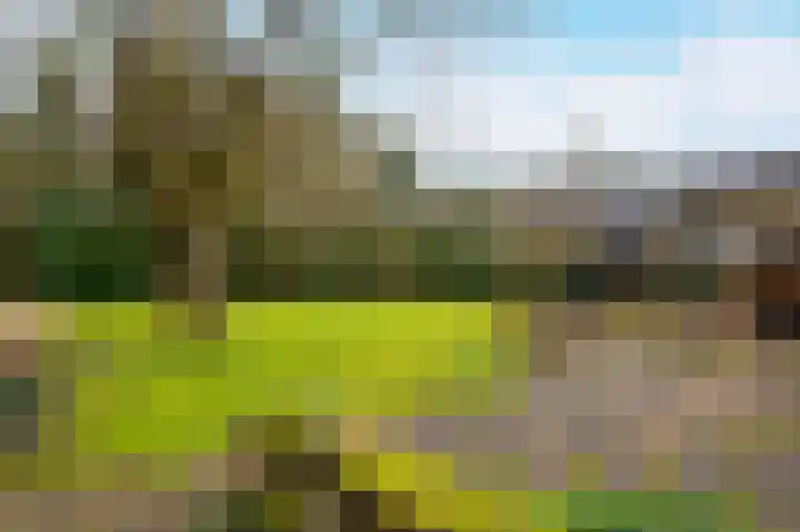 Buurtboslaan 14 Otterlo thumbnail 28