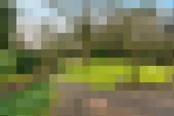 Buurtboslaan 14 Otterlo thumbnail 30