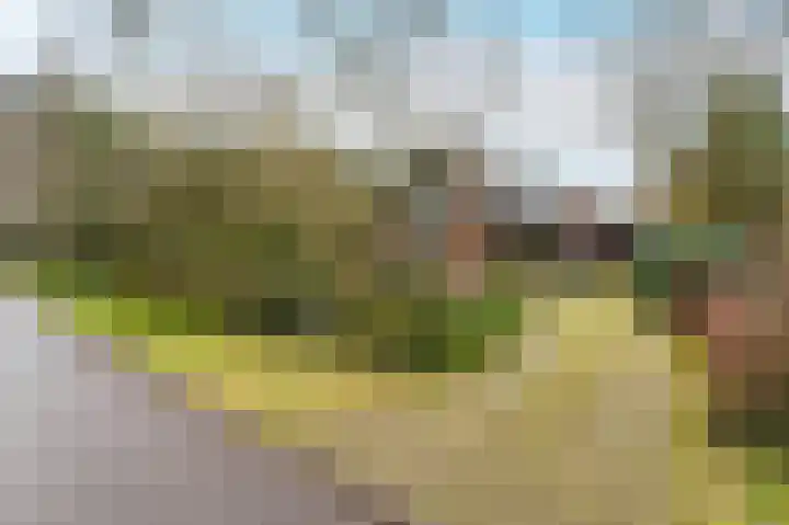 Buurtboslaan 14 Otterlo thumbnail 31
