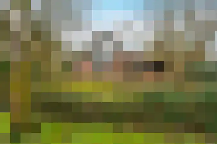 Buurtboslaan 14 Otterlo thumbnail 32