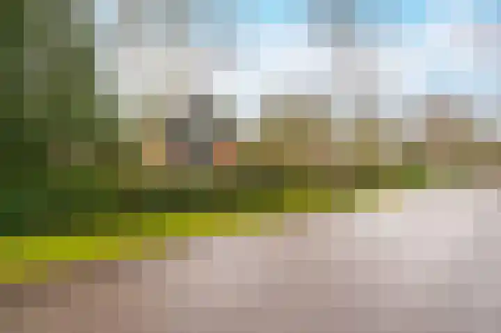 Buurtboslaan 14 Otterlo thumbnail 33