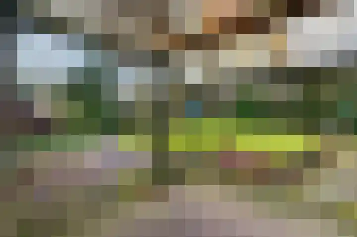 Buurtboslaan 14 Otterlo thumbnail 35
