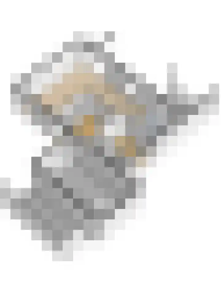 Buurtboslaan 14 Otterlo thumbnail 37