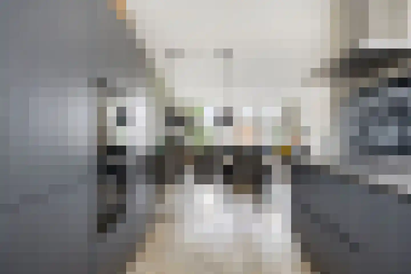 Buurtdonk 5 Best thumbnail 16