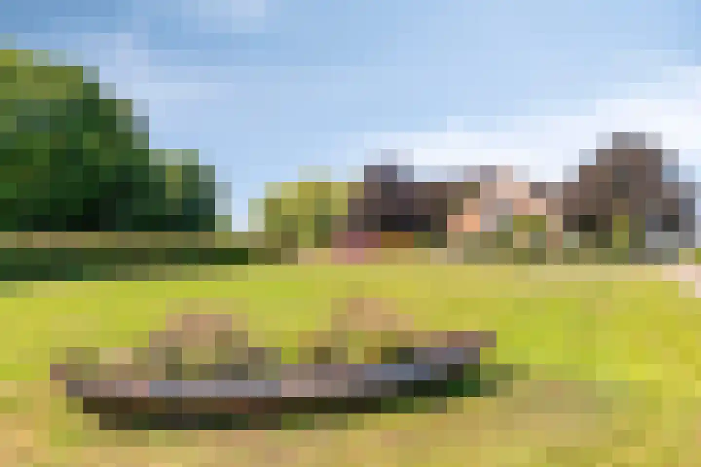 Buurterpolder 3 Rijpwetering thumbnail 10