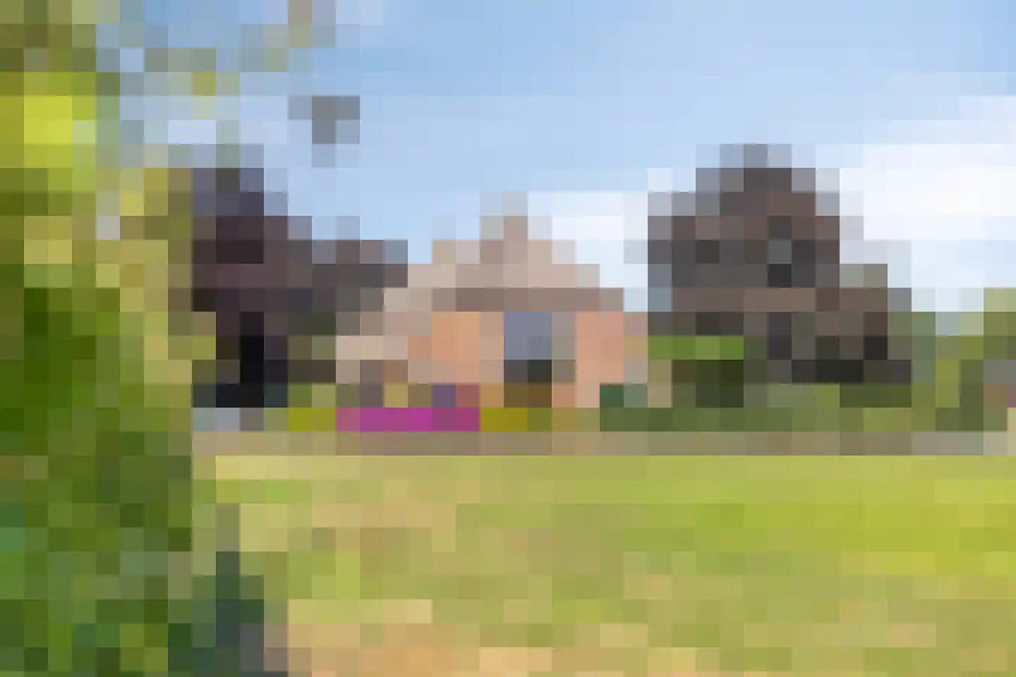 Buurterpolder 3 Rijpwetering thumbnail 11
