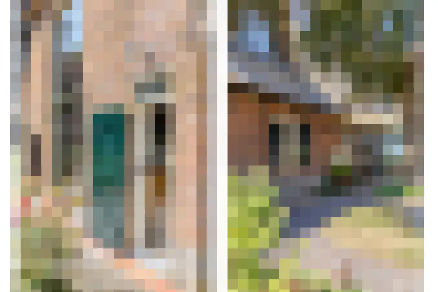 Buurterpolder 3 Rijpwetering thumbnail 13