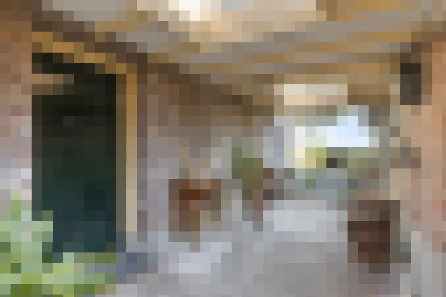 Buurterpolder 3 Rijpwetering thumbnail 14