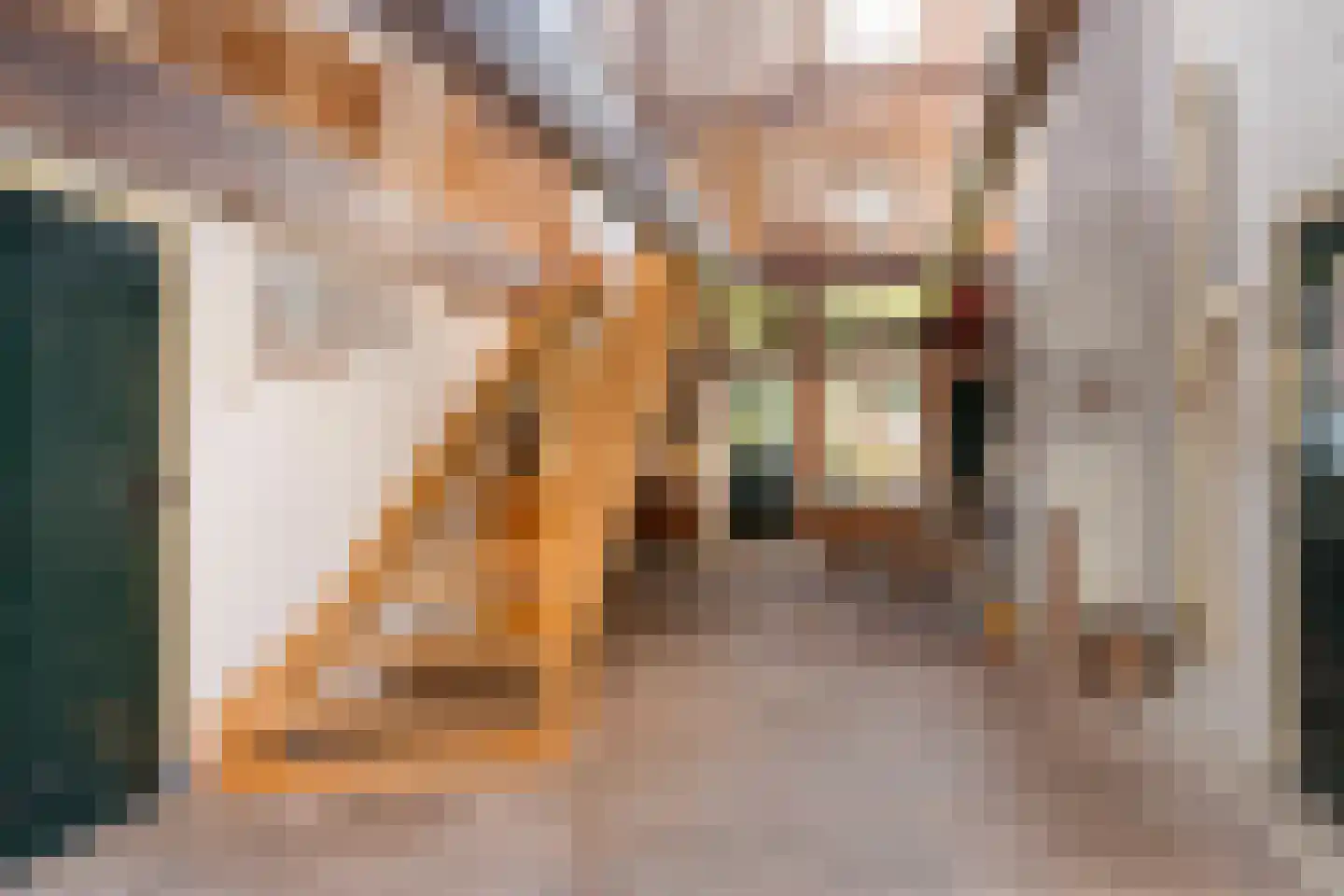 Buurterpolder 3 Rijpwetering thumbnail 15