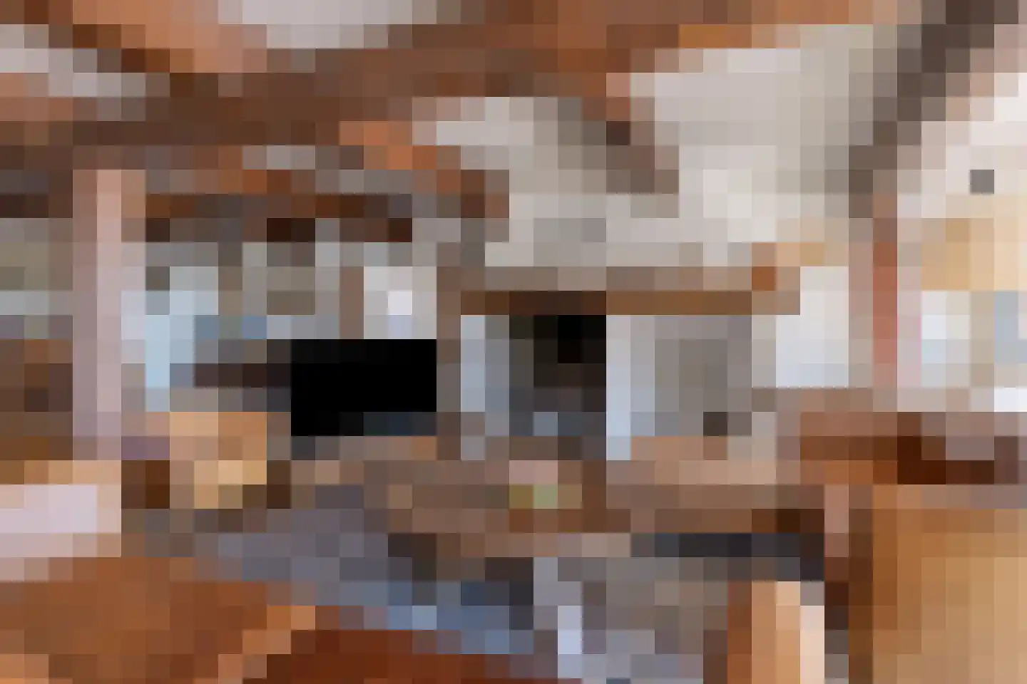 Buurterpolder 3 Rijpwetering thumbnail 26