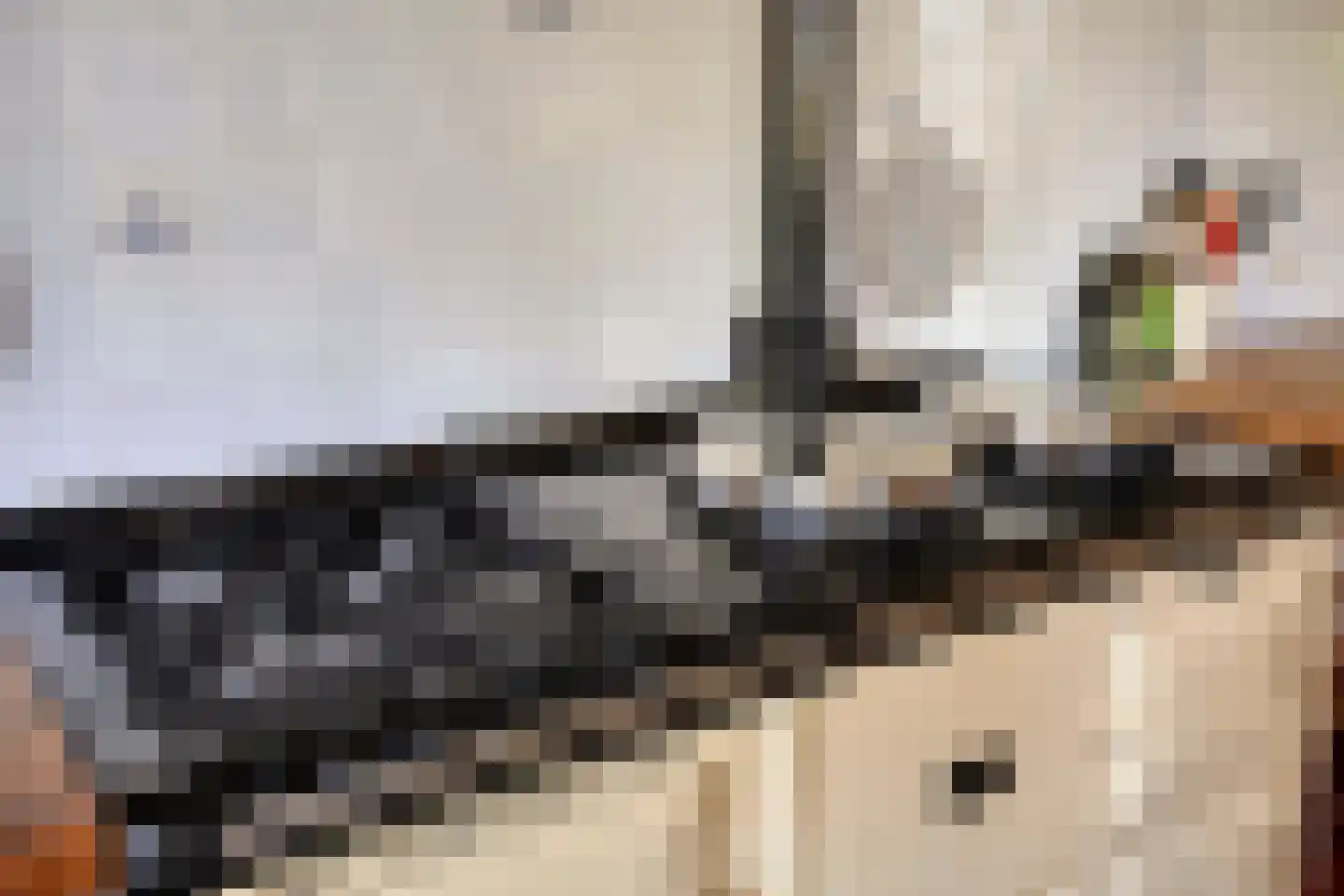 Buurterpolder 3 Rijpwetering thumbnail 37